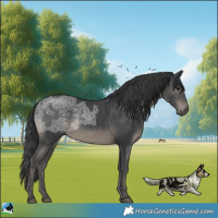 Horse Color:Black Ice Rabicano