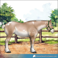 Horse Color:White Spotted Chocolate Palomino Pearl Tobiano 