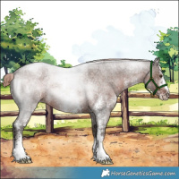 Horse Color:Liver Red Roan Sabino 
