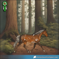 Horse Color:White Spotted Chocolate Palomino 