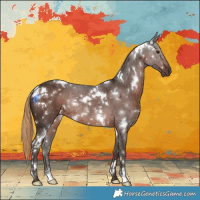 Horse Color:White Spotted Liver Chestnut Rabicano 