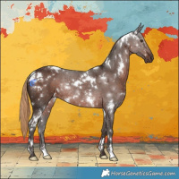 Horse Color:White Spotted Liver Chestnut Rabicano 