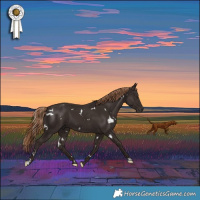 Horse Color:White Spotted Liver Chestnut