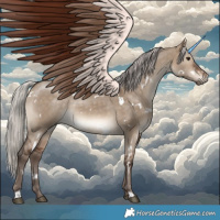 Horse Color:White Spotted Silver Brown Dun 