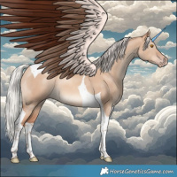 Horse Color:Silver Classic Champagne Dun Tobiano