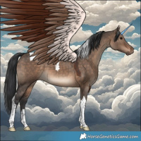 Horse Color:Brown Dun Tobiano 