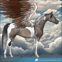 Horse Color:Brown Dun Tobiano