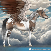 Horse Color:White Spotted Brown Dun Tobiano 