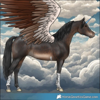 Horse Color:Brown Tobiano 