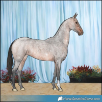 Horse Color:Bay Roan 