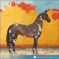 Horse Color:White Spotted Liver Chestnut 