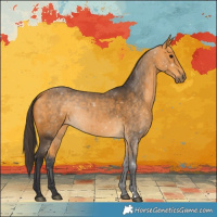 Horse Color:Buckskin 
