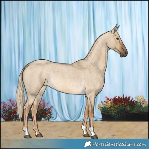 Horse Color:Chocolate Palomino Roan Dun