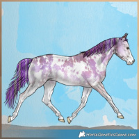 Horse Color:Painted Plaid  White Spotted Liver Red Dun Onyx Sabino Rabicano Brindle 