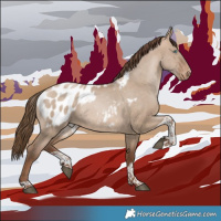 Horse Color:Brown Pearl Dun Sabino Tobiano Blanket