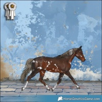 Horse Color:White Spotted Liver Chestnut Tobiano 