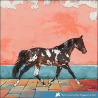 Horse Color:White Spotted Brown Rabicano 