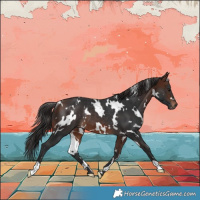 Horse Color:White Spotted Brown Rabicano
