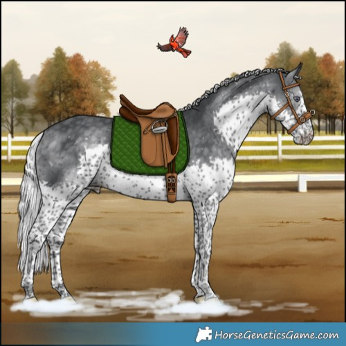Horse Color:Silver Black Chinchilla Splash Tobiano Rabicano