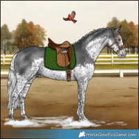 Horse Color:Silver Black Chinchilla Splash Tobiano Rabicano 