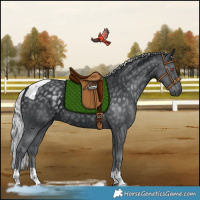 Horse Color:Silver Black Chinchilla Tobiano 