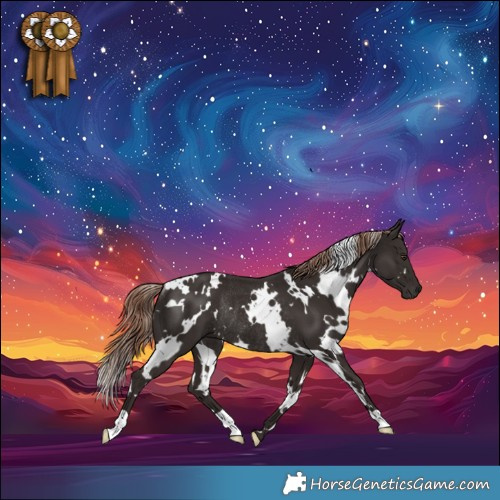 Horse Color:White Spotted Liver Chestnut Rabicano 