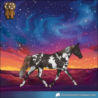 Horse Color:White Spotted Liver Chestnut Rabicano
