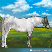 Horse Color:White Spotted Liver Red Roan Mushroom 