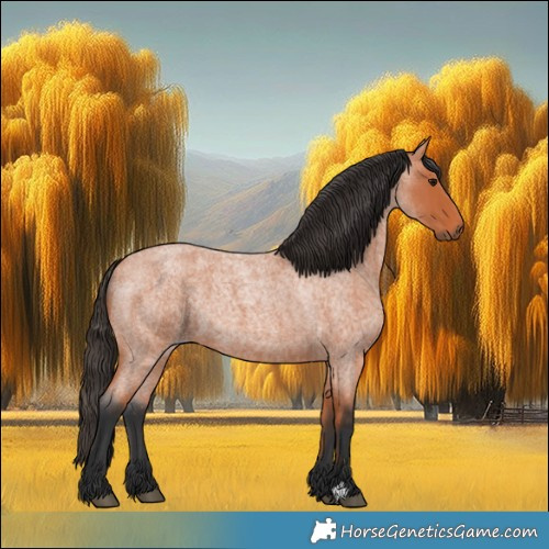 Horse Color:Bay Roan 