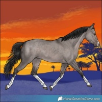 Horse Color:Platinum White Spotted Liver Red Dun