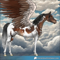 Horse Color:White Spotted Brown Tobiano 