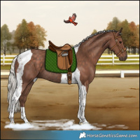 Horse Color:Silver Black Tobiano Rabicano 