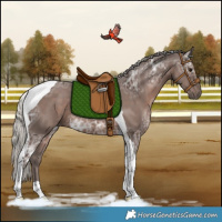 Horse Color:Silver Black Ice Tobiano Rabicano 