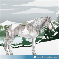 Horse Color:Platinum White Spotted Chocolate Palomino Dun Tobiano