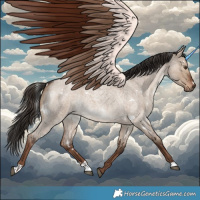 Horse Color:White Spotted Liver Red Dun Roan Rabicano 