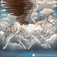 Horse Color:Silver Sable Champagne Dun Tobiano Leopard 