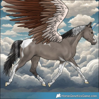 Horse Color:Smoky Grullo Tobiano