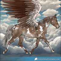 Horse Color:White Spotted Liver Red Dun
