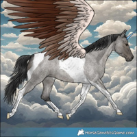 Horse Color:Grullo Roan Tobiano 