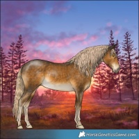 Horse Color:Chocolate Palomino Mushroom Sabino Rabicano
