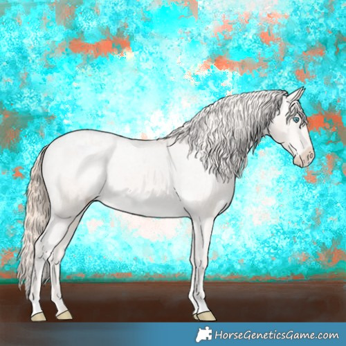 Horse Color:Perlino Appaloosa