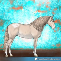 Horse Color:Perlino Appaloosa