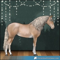 Horse Color:Chocolate Palomino Pearl Tobiano 