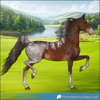 Horse Color:Powder White Liver Chestnut 