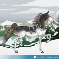 Horse Color:Powder White White Spotted Liver Chestnut 