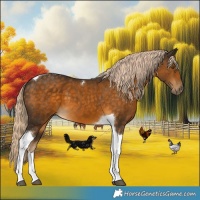 Horse Color:Chocolate Palomino Tobiano 