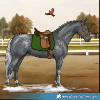 Horse Color:Silver Black Chinchilla Tobiano Rabicano 