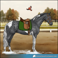 Horse Color:Silver Black Chinchilla Tobiano Rabicano 