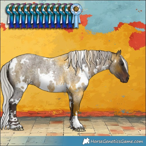 Horse Color:White Spotted Silver Brown Roan Rabicano 