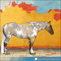 Horse Color:White Spotted Silver Brown Roan Rabicano 
